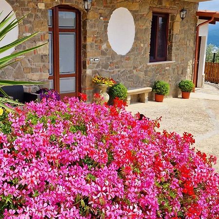 Pietra Del Colle Agriturismo Altavilla Silentina Ngoại thất bức ảnh