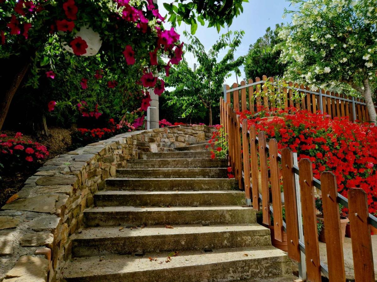 Pietra Del Colle Agriturismo Altavilla Silentina Ngoại thất bức ảnh