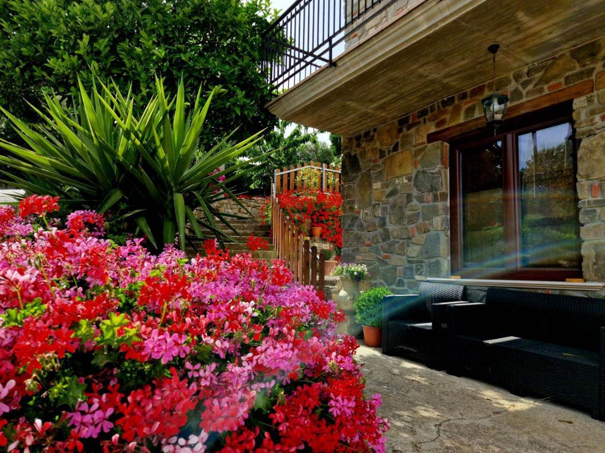 Pietra Del Colle Agriturismo Altavilla Silentina Ngoại thất bức ảnh